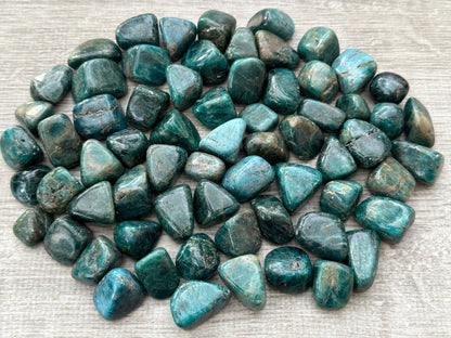 1/2 lb Tumbled Stones Grade A++ – Choose from 50 Types | Natural Polished Crystal Bulk Lot