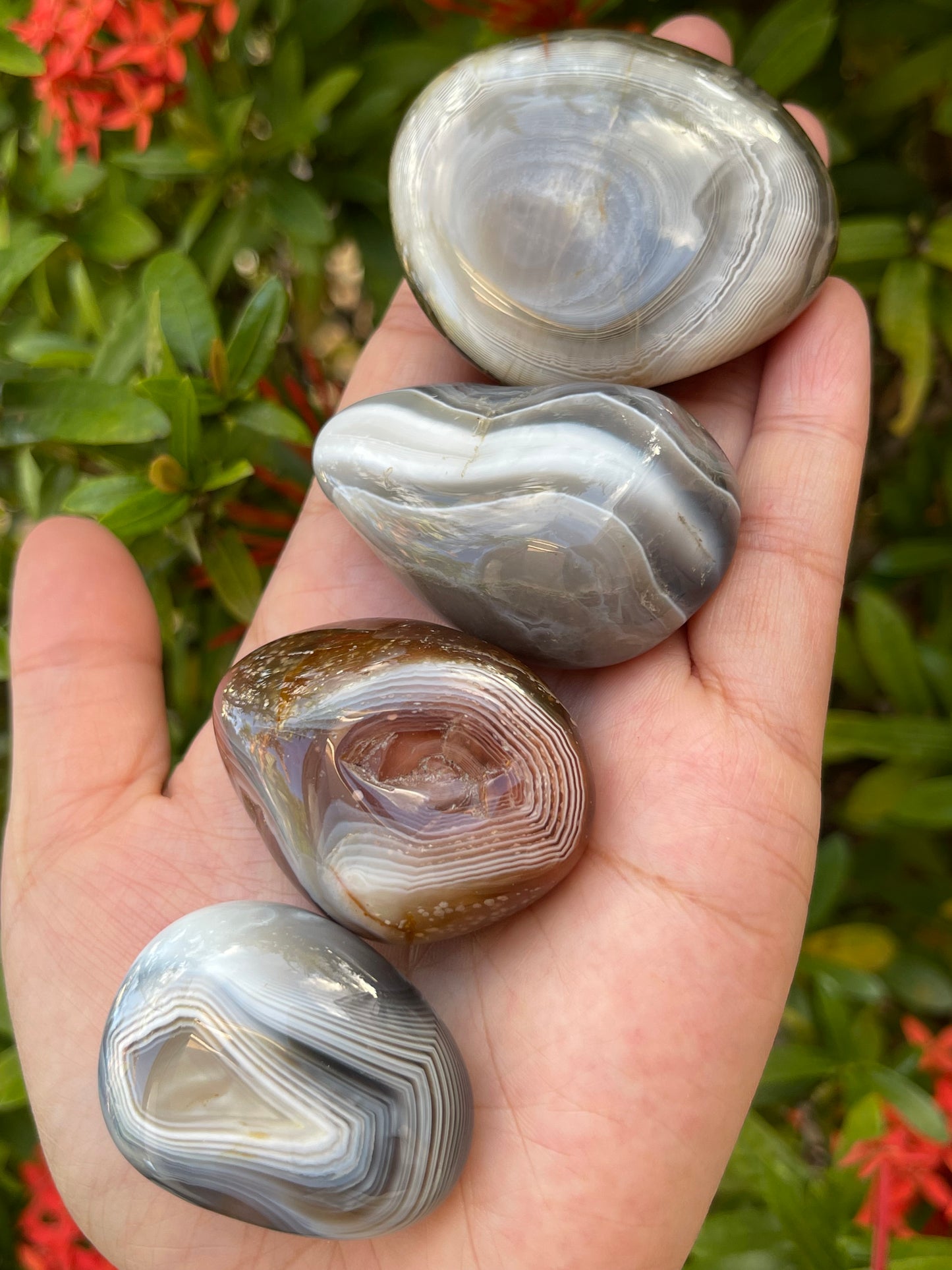 Grade A++ Botswana Agate Pebble, Botswana Agate Palm Stones, Wholesale Bulk Lot