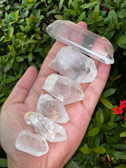 Natural Clear Quartz Crystal Points 1 to 3 Inches, Wholesale Bulk Lot