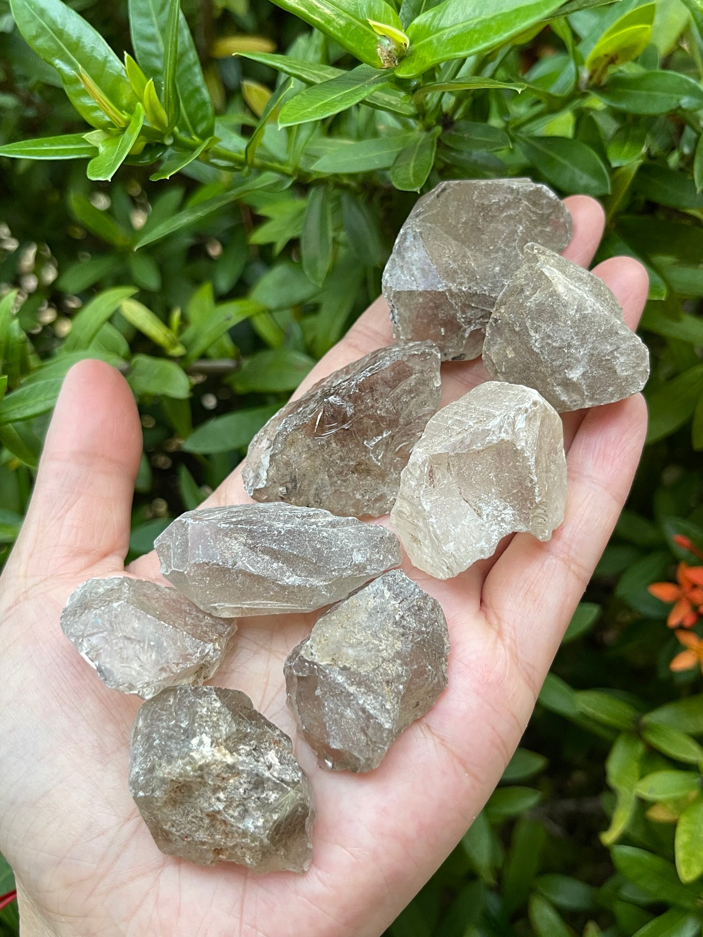 Smoky Quartz Rough Stones, Grade A + Raw Smoky Quartz, Wholesale Bulk Lot