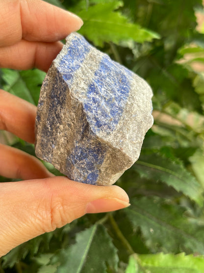 Grade A+ Large Lapis Lazuli Raw Stone 2-3 Inches, Wholesale Bulk Lot