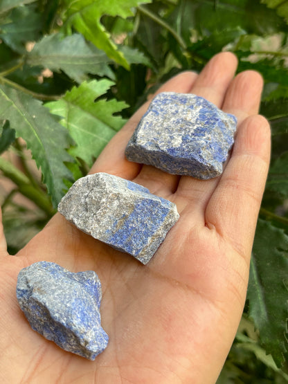 Grade A+ Large Lapis Lazuli Raw Stone 1-2 Inches, Wholesale Bulk Lot