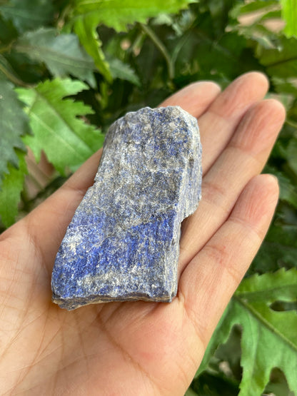 Grade A+ Large Lapis Lazuli Raw Stone 2-3 Inches, Wholesale Bulk Lot