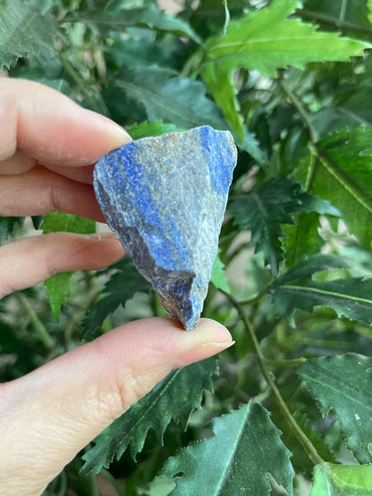 Grade A+ Large Lapis Lazuli Raw Stone 1-2 Inches, Wholesale Bulk Lot