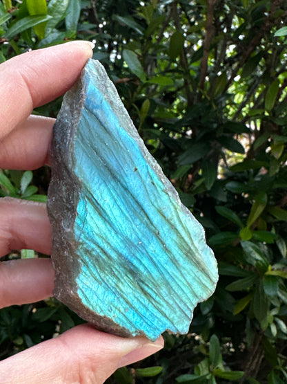 Natural Labradorite Slab, 2" - 3"