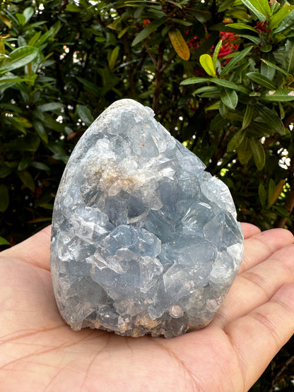 Polished Celestite Cluster, Celestite Geode Free Shape w. Druse, Standing Celestite Healing Crystal 2-3.5", Pick a Weight