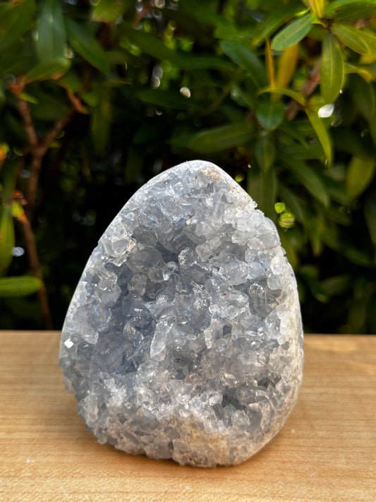 Polished Celestite Cluster, Celestite Geode Free Shape w. Druse, Standing Celestite Healing Crystal 2-3.5", Pick a Weight