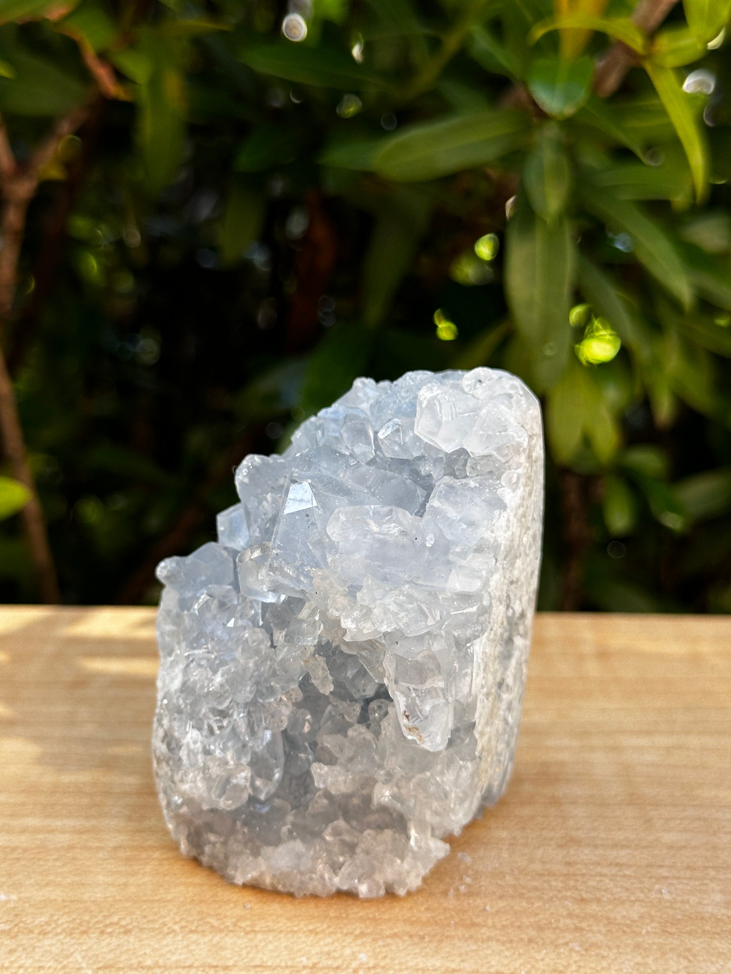 Polished Celestite Cluster, Celestite Geode Free Shape w. Druse, Standing Celestite Healing Crystal 2-3.5", Pick a Weight