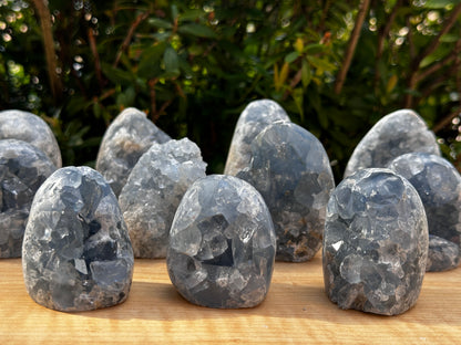 Polished Celestite Cluster, Celestite Geode Free Shape w. Druse, Standing Celestite Healing Crystal 2-3.5", Pick a Weight