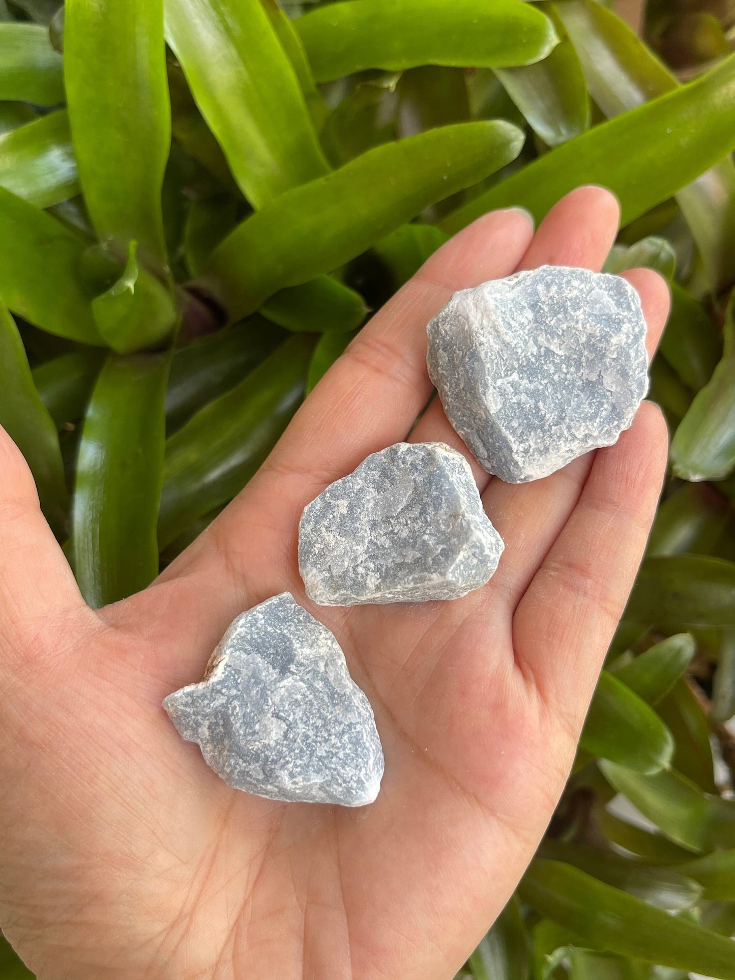 Grade A+ Angelite Raw Natural Stone, 1-2 Inch Rough Angelite, Wholesale Bulk Lot