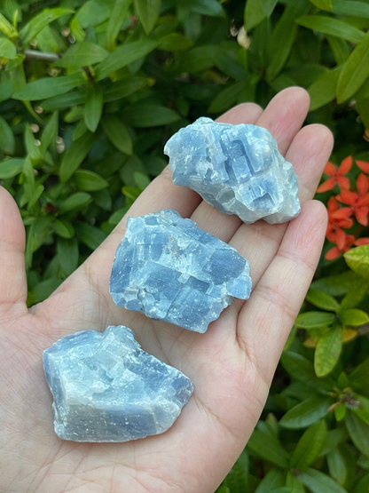 Grade A+ Blue Calcite Rough Natural, 1.5 - 2" Blue Calcite, Wholesale Bulk Lot