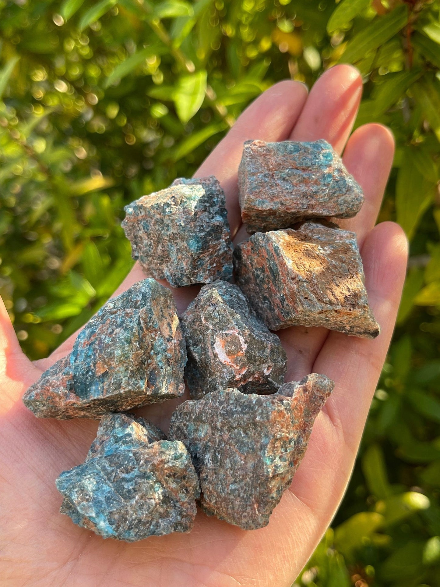 Apatite Rough Natural Stones, 1-2" Raw Blue Apatite Stones, Wholesales Bulk Lot