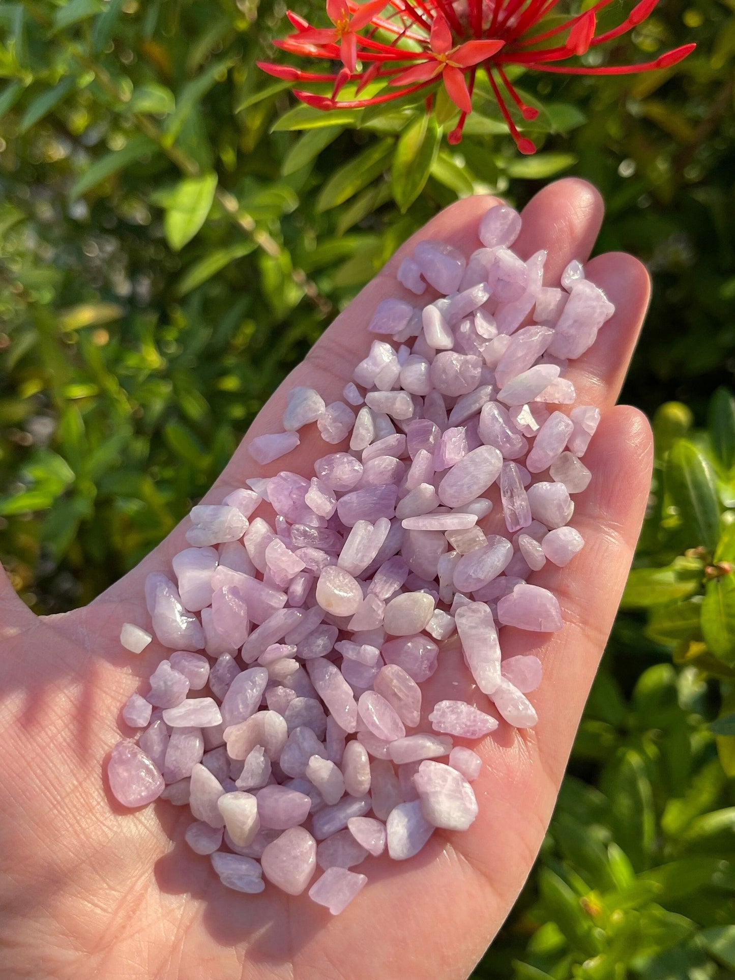 Grade A++ Kunzite Semi Tumbled Gemstone Mini Chips 3 - 8 mm, Wholesale Bulk Lot