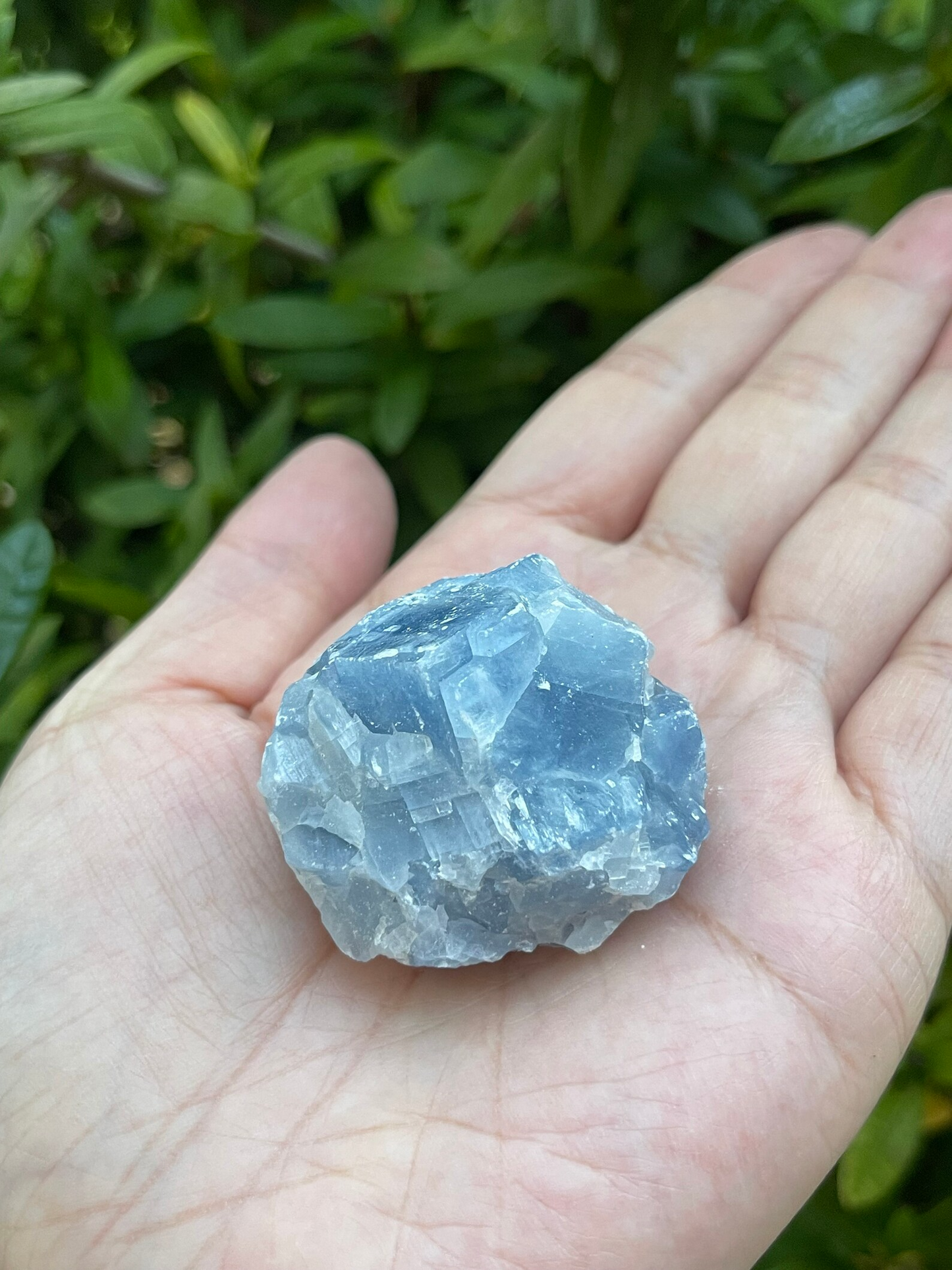 Grade A+ Blue Calcite Rough Natural, 1.5 - 2" Blue Calcite, Wholesale Bulk Lot