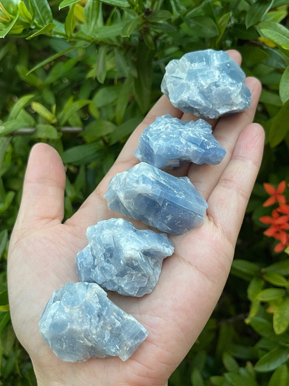 Grade A+ Blue Calcite Rough Natural, 1.5 - 2" Blue Calcite, Wholesale Bulk Lot