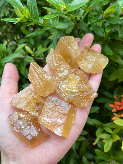 Grade A+ Honey Calcite Rough Natural, 1 - 2" Honey Calcite, Wholesale Bulk Lot