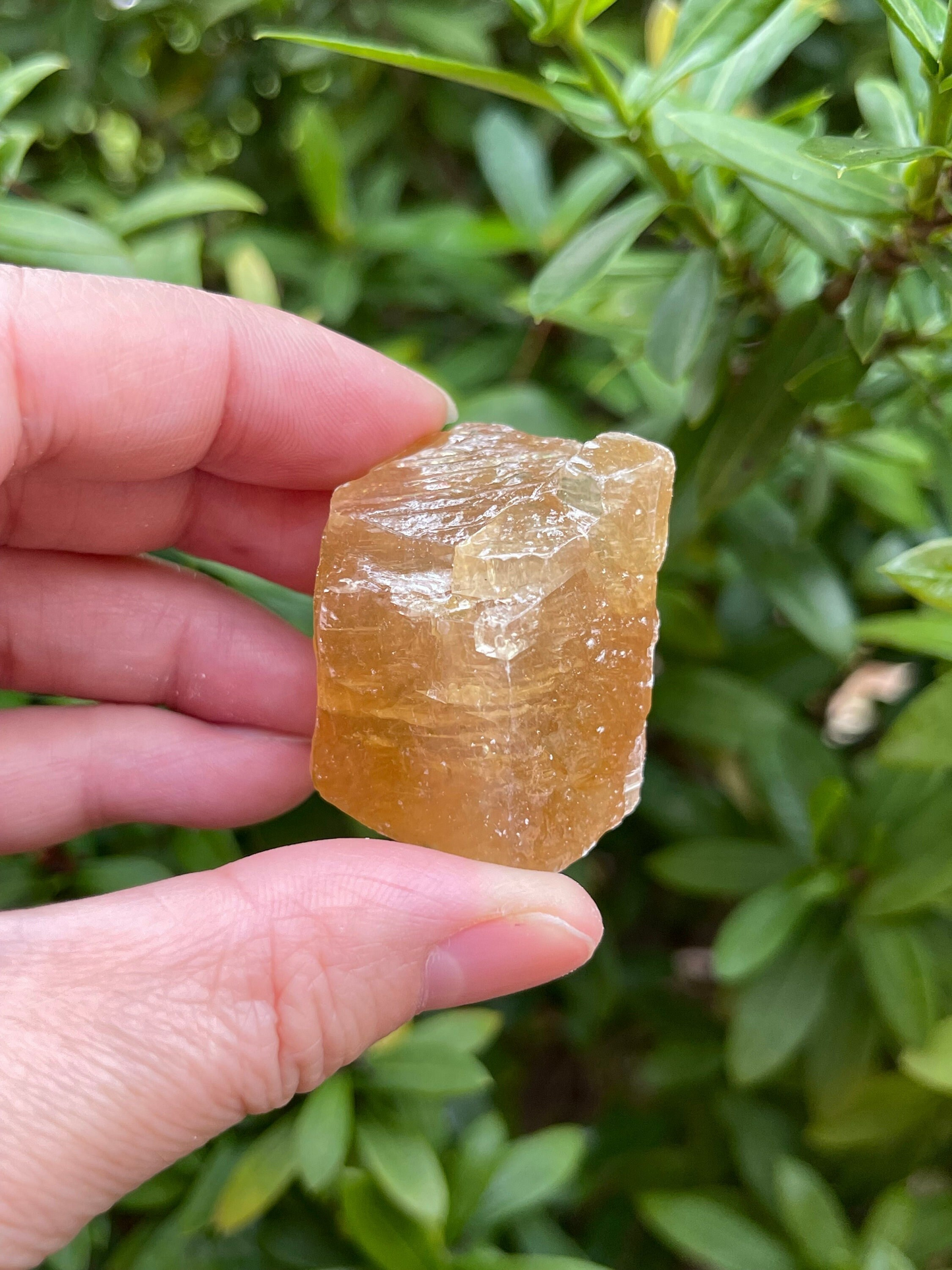 Grade A+ Honey Calcite Rough Natural, 1 - 2" Honey Calcite, Wholesale Bulk Lot