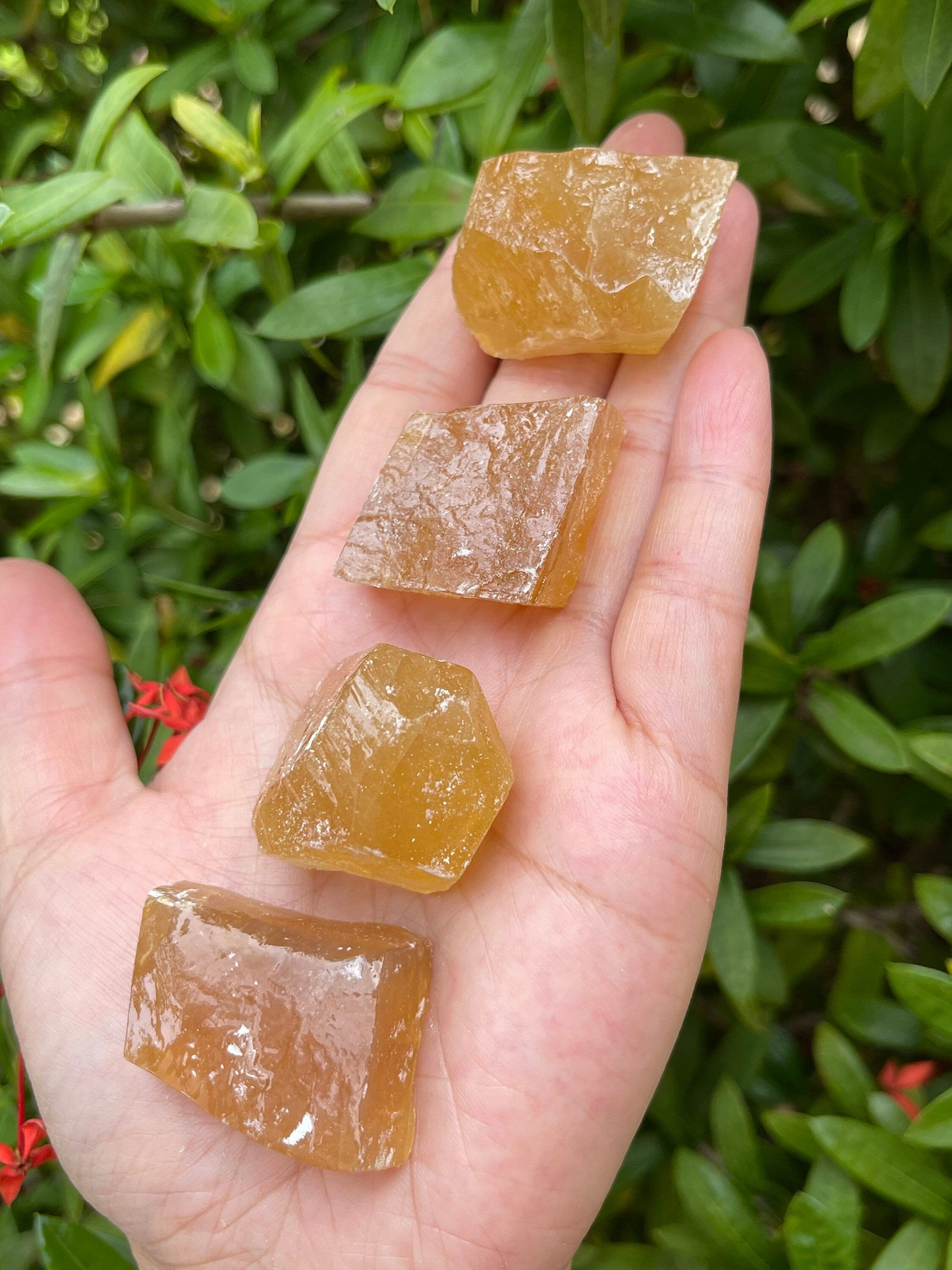 Grade A+ Honey Calcite Rough Natural, 1 - 2" Honey Calcite, Wholesale Bulk Lot