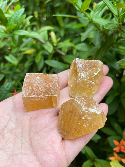 Grade A+ Honey Calcite Rough Natural, 1 - 2" Honey Calcite, Wholesale Bulk Lot