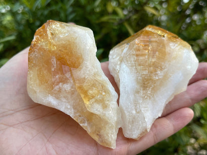 Extra Large Natural Citrine Point - Healing Crystal 2-3" | Citrine Point for Energy & Wellness