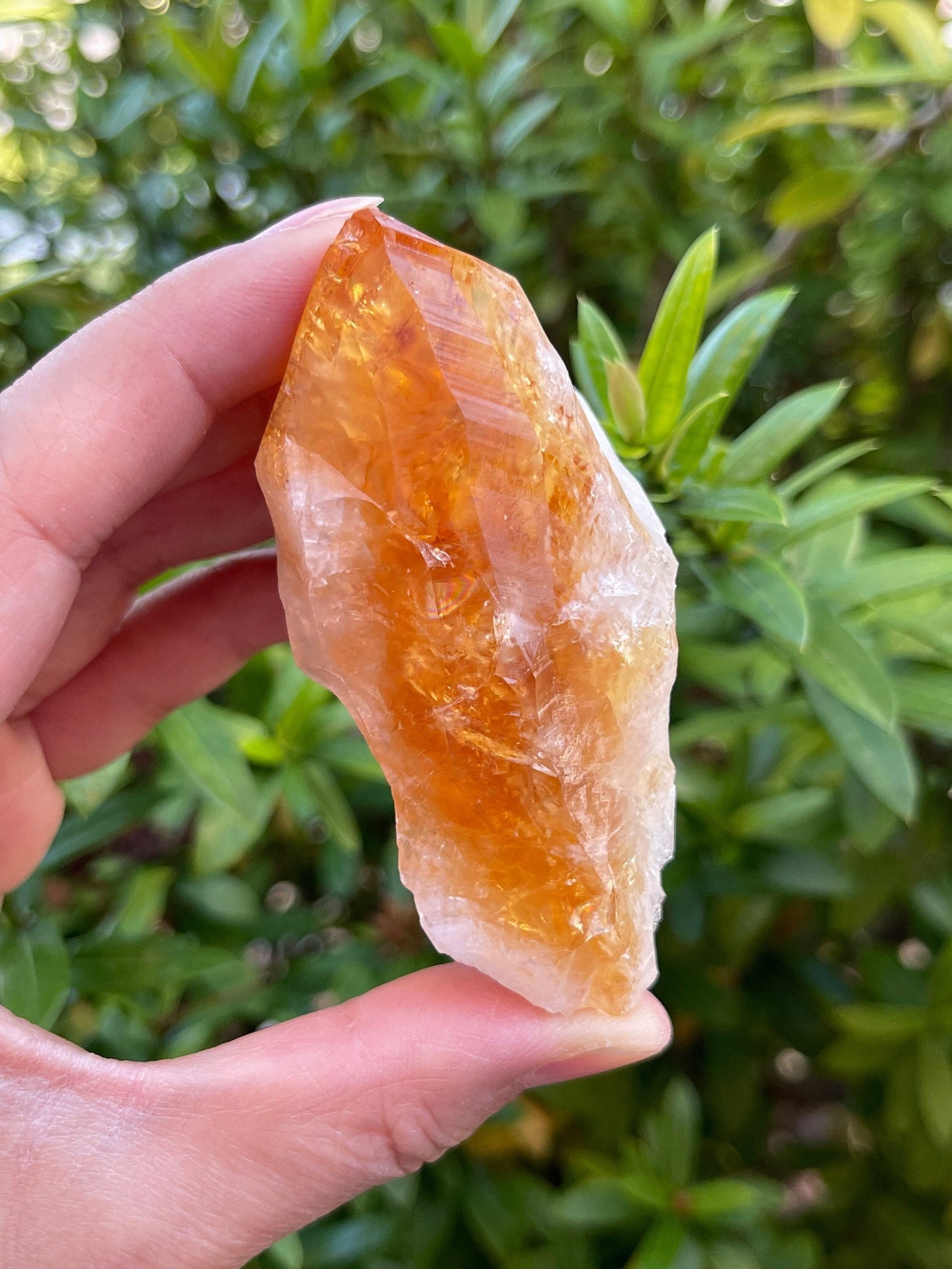 Extra Large Natural Citrine Point - Healing Crystal 2-3" | Citrine Point for Energy & Wellness