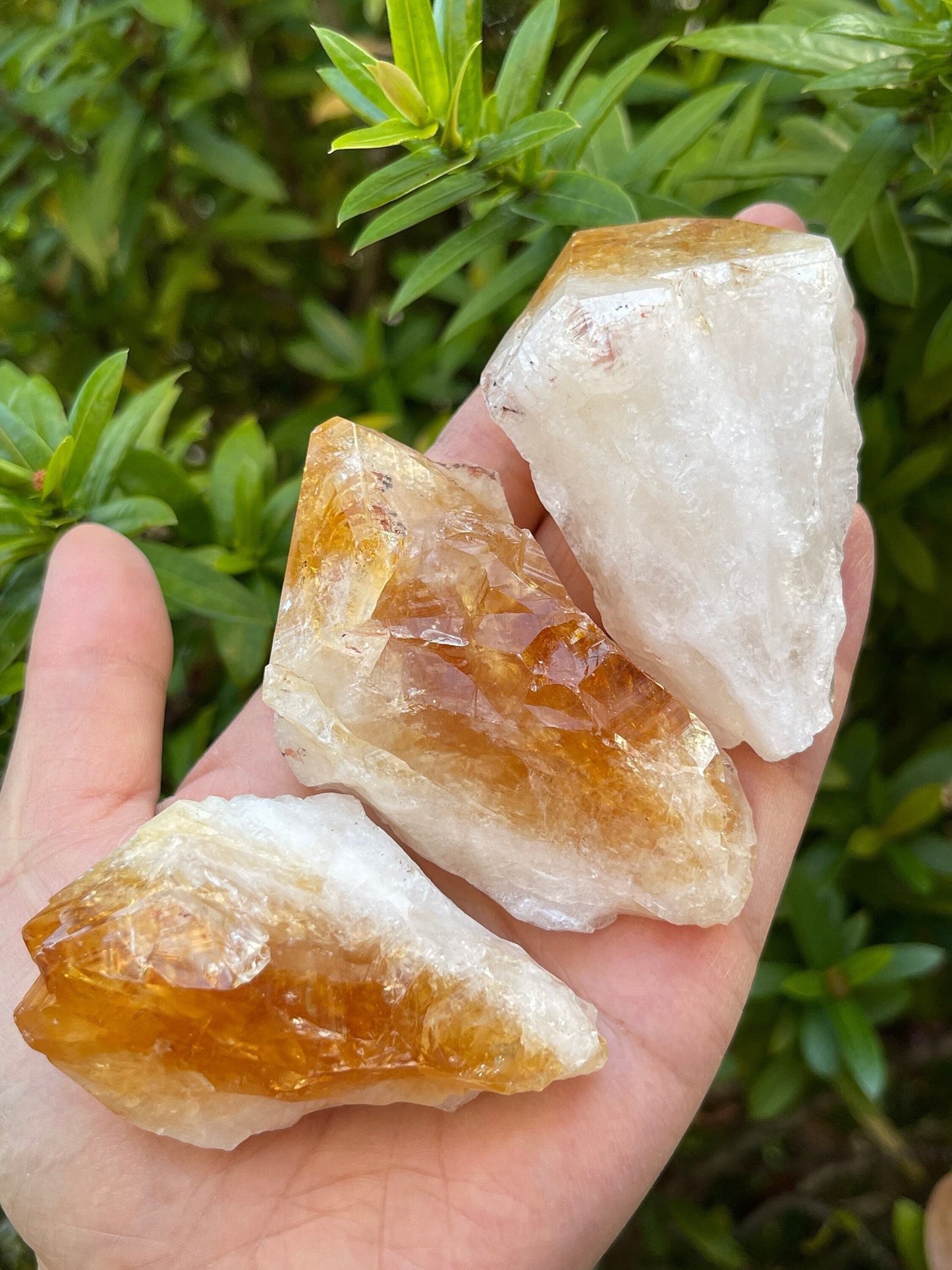 Extra Large Natural Citrine Point - Healing Crystal 2-3" | Citrine Point for Energy & Wellness