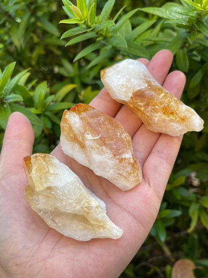 Extra Large Natural Citrine Point - Healing Crystal 2-3" | Citrine Point for Energy & Wellness