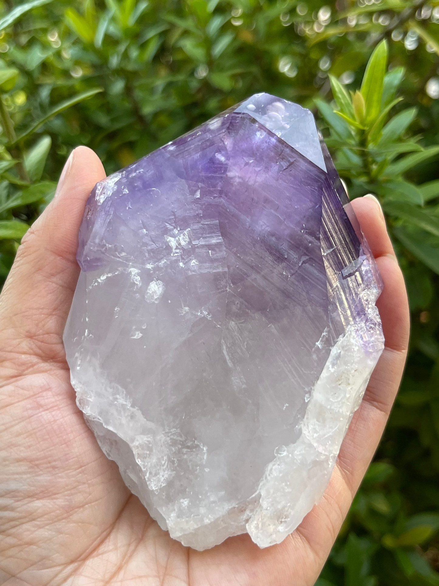 Jumbo Amethyst Point, 2.5 - 5" Large Raw Amethyst Natural Point, Pick a Weight