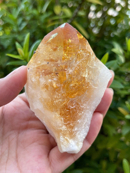Extra Large Natural Citrine Point - Healing Crystal 2-3" | Citrine Point for Energy & Wellness