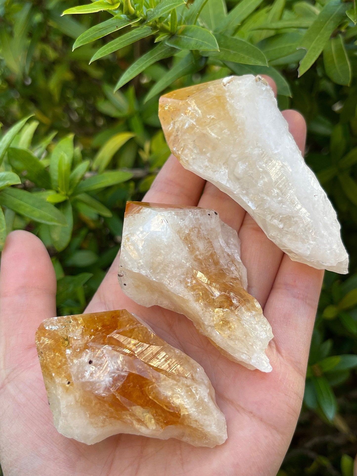 Extra Large Natural Citrine Point - Healing Crystal 2-3" | Citrine Point for Energy & Wellness
