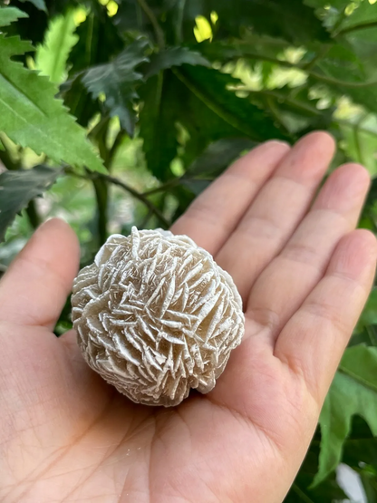 Extra Large Desert Rose Selenite, 1.5-4 Inches Desert Gypsum Rose, Pick a Size