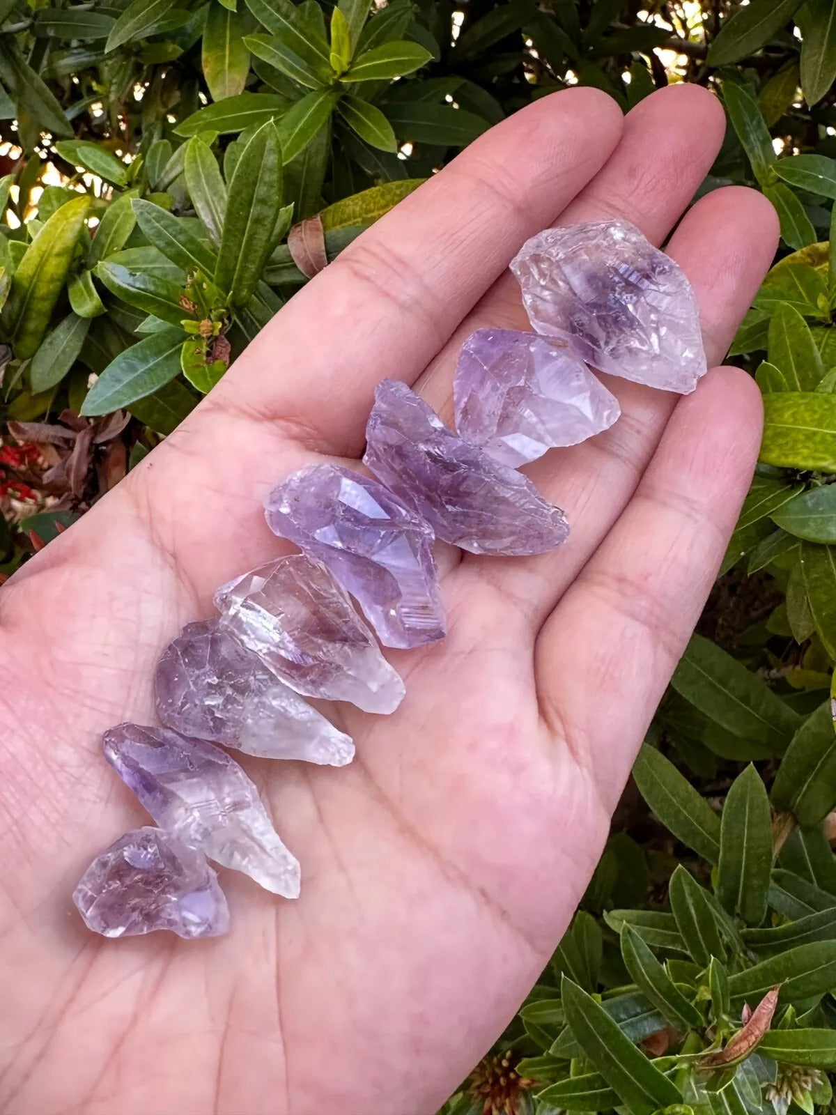 0.5" - 1.25" Brazilian Rough Amethyst Point, Raw Healing Crystals, Bulk Lot