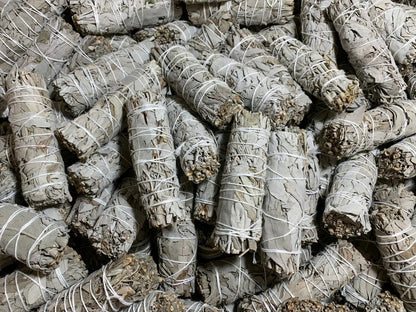 California White Sage Smudge Sticks, 4" Hand-Tied Smudge Bundles, Fresh Sage for Cleansing & Healing, Bulk Lot