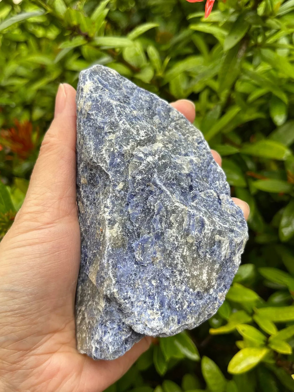 Large Sodalite Rough Natural Stones, 3"-4" Raw Sodalite Stones, Pick A Weight