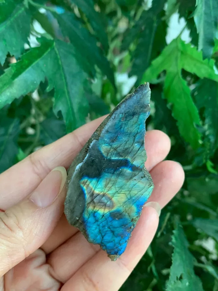 Natural Labradorite Slab, 1.25" - 5" High Flash Raw Labradorite, Pick a Size