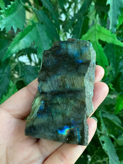 Natural Labradorite Slab, 2" - 4" High Flash Raw Labradorite, Pick a Weight