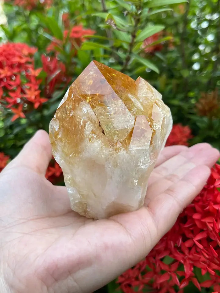 Standing Citrine Top Polished Rough Point, Deep Orange Citrine Crystal Cut Base