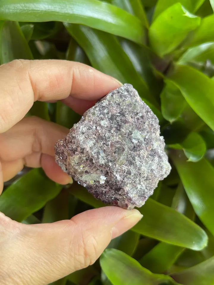 Lepidolite Raw Stone 1.5-2 Inches, Natural Rough Lepidolite, Wholesale Bulk Lot