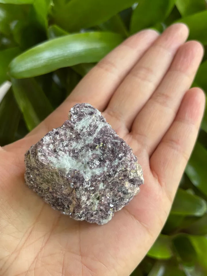 Lepidolite Raw Stone 1.5-2 Inches, Natural Rough Lepidolite, Wholesale Bulk Lot