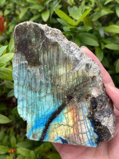 Natural Labradorite Slab, High Flash Free Standing Display Specim, Pick a Weight