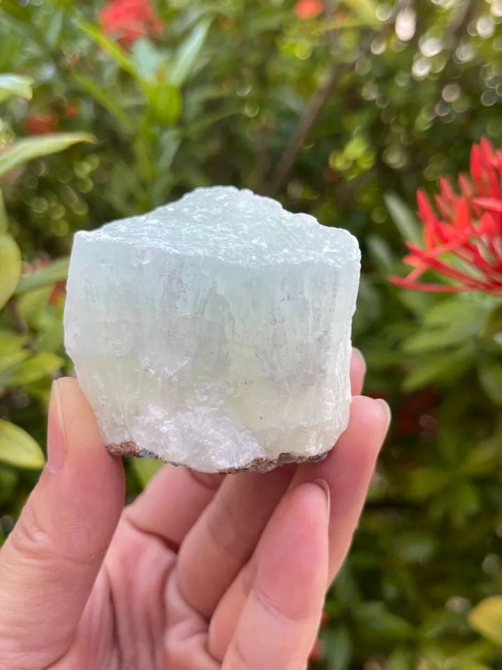 Large Rough Pistachio Calcite Stone, 2-3" Raw Aqua Calcite, Wholesale Bulk Lot