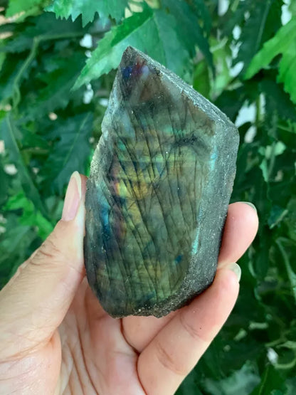 Natural Labradorite Slab, 1.25" - 5" High Flash Raw Labradorite, Pick a Size