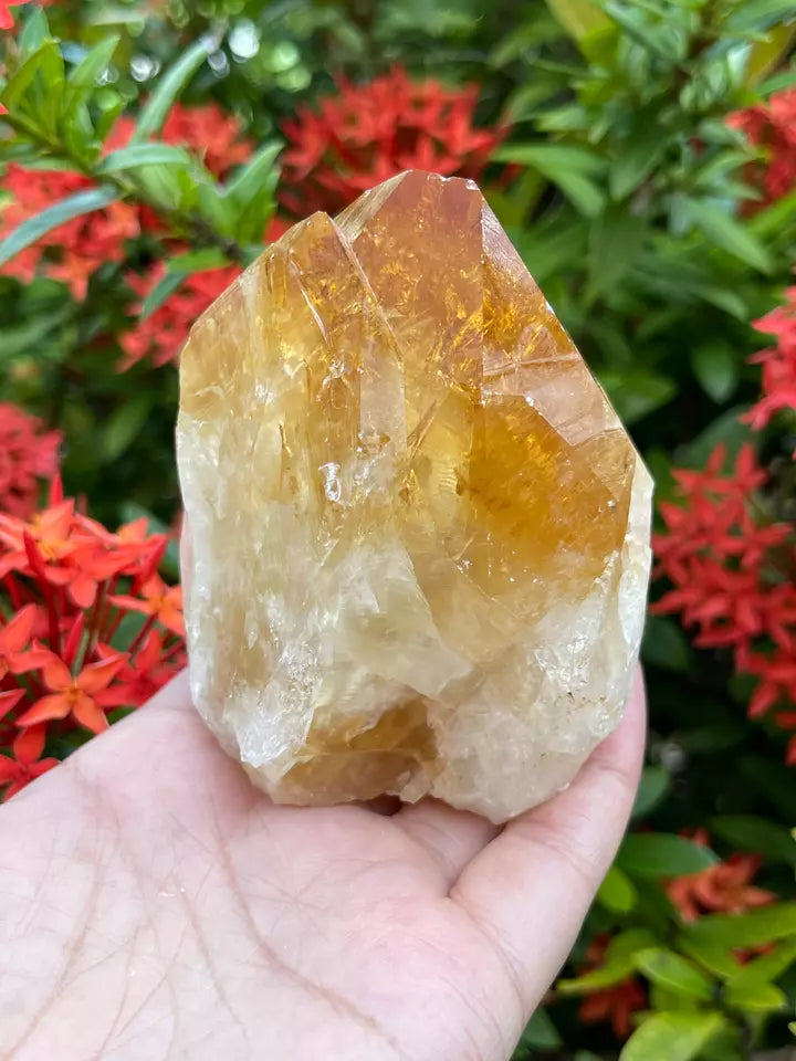 Standing Citrine Top Polished Rough Point, Deep Orange Citrine Crystal Cut Base