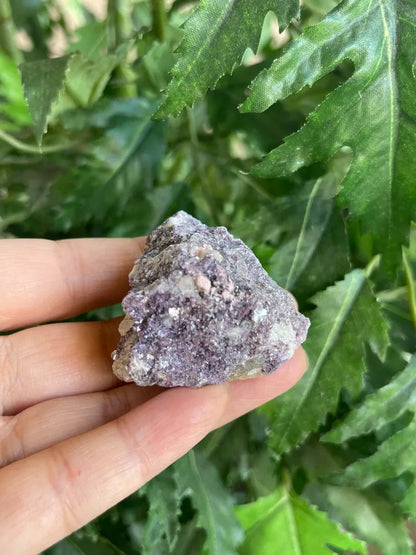 Lepidolite Raw Stone 1.5-2 Inches, Natural Rough Lepidolite, Wholesale Bulk Lot