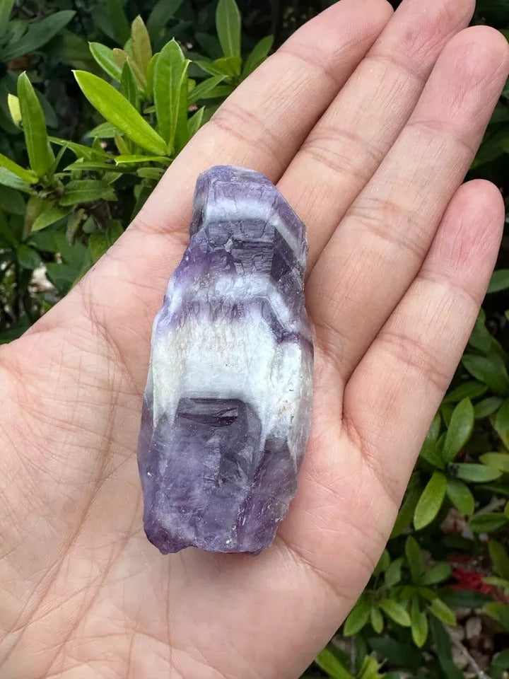 Grade A++ Chevron Amethyst Rough Stones, 2" - 3" Natural Chevron Amethyst Point