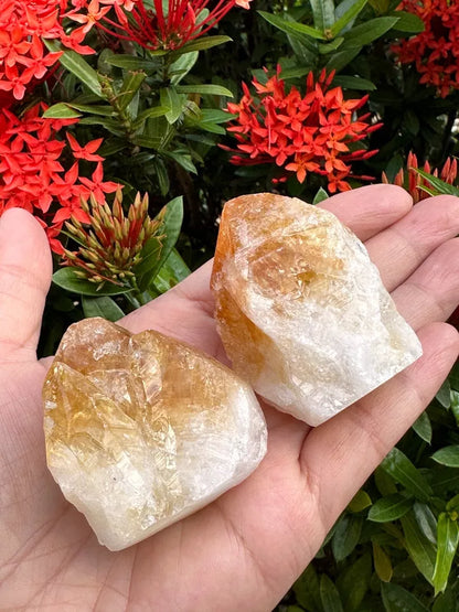 Standing Citrine Top Polished Rough Point, Deep Orange Citrine Crystal Cut Base