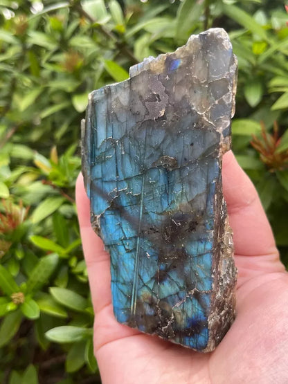 Natural Labradorite Slab, High Flash Free Standing Display Specim, Pick a Weight