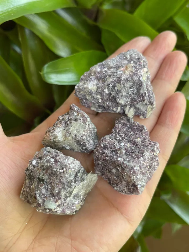 Lepidolite Raw Stone 1-2 Inches, Natural Rough Lepidolite, Wholesale Bulk Lot