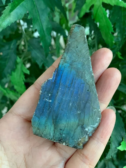 Natural Labradorite Slab, 1.25" - 5" High Flash Raw Labradorite, Pick a Size