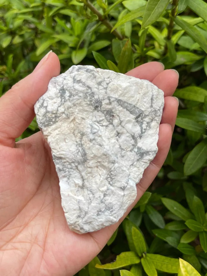 Large White Howlite Rough Natural Stones, 2-3.5" Raw Howlite Stones,Pick a Weigt